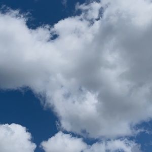 Meet your Posher, Lindsay